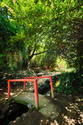 Similar image 21704099