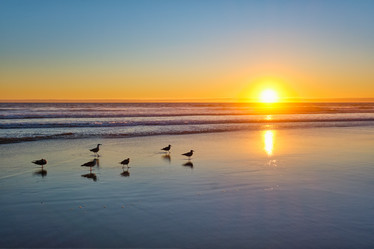 Similar image 21704391