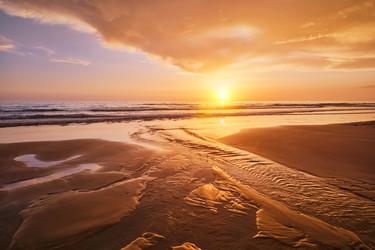 Similar image 21704536