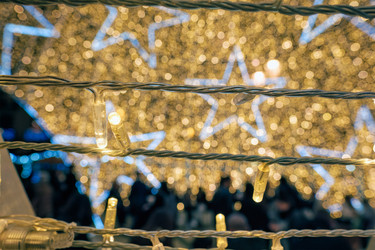 Similar image 21704544