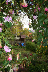 Similar image 21704551