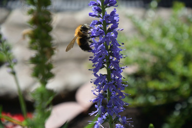 Similar image 21704557