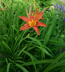 Similar image 21704559