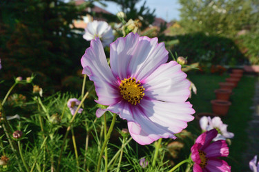 Similar image 21704564