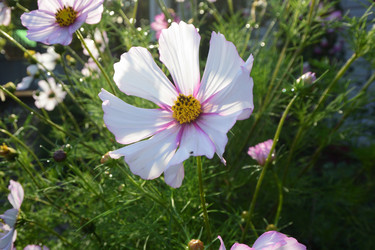 Similar image 21704565