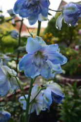 Similar image 21704568