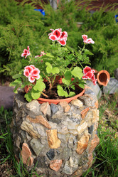 Similar image 21704570