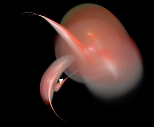 Similar image 21704809