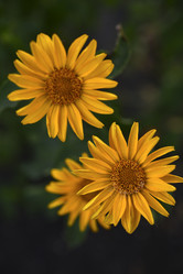 Similar image 21704856