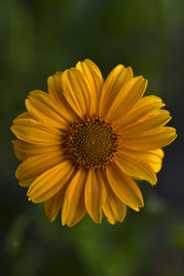 Similar image 21704857