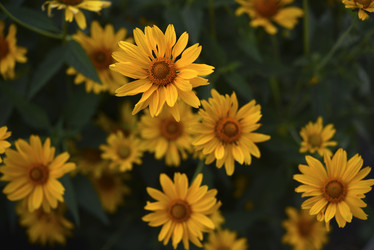 Similar image 21704861