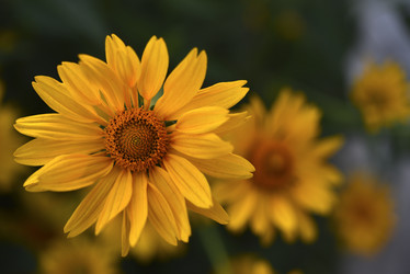 Similar image 21704863