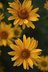 Similar image 21704865