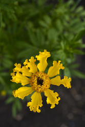 Similar image 21704872