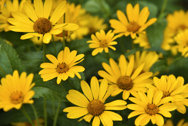 Similar image 21704874