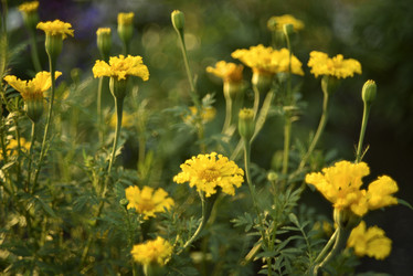 Similar image 21704880