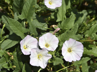 Similar image 21704881