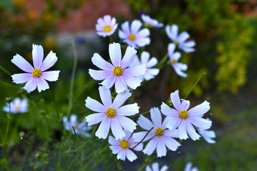 Similar image 21704889