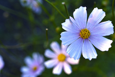 Similar image 21704892