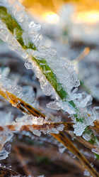 Similar image 21704588