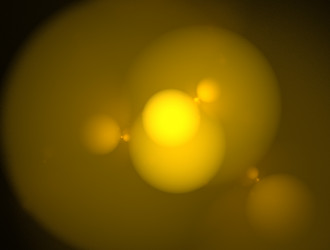 Similar image 21705318