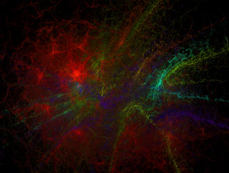 Similar image 21705322