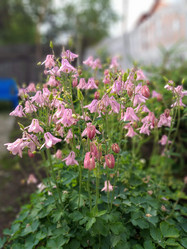 Similar image 21704720