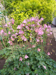 Similar image 21704721