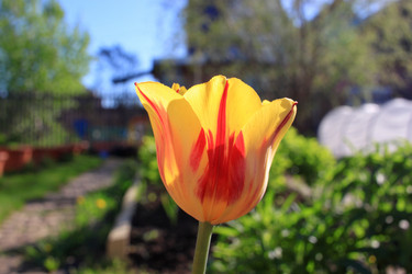 Similar image 21704726