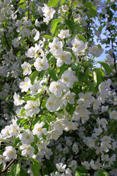 Similar image 21704730