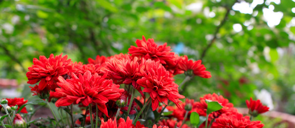 Similar image 21704734