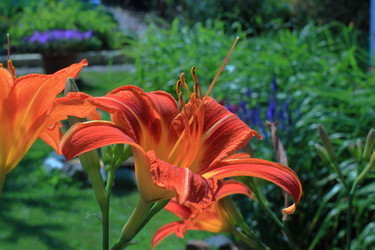 Similar image 21704737