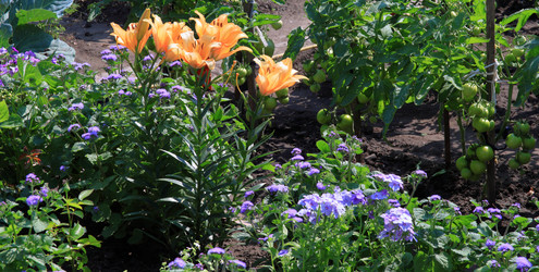 Similar image 21704738