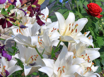 Similar image 21704739