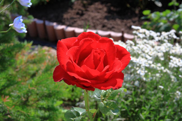 Similar image 21704740