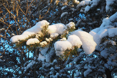 Similar image 21705751