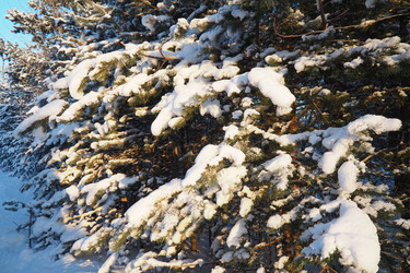 Similar image 21705754