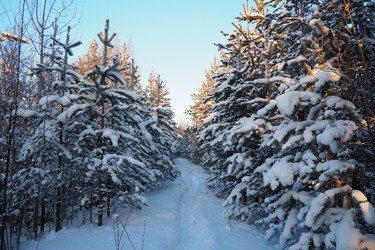 Similar image 21705757