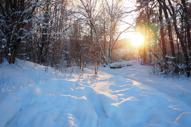 Similar image 21705759