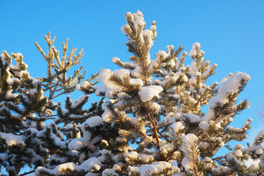 Similar image 21705760