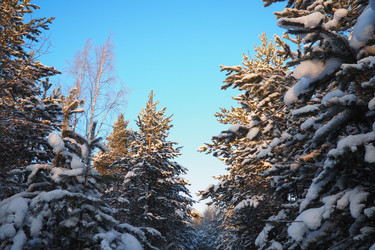 Similar image 21705763