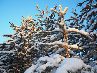 Similar image 21705764