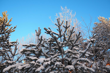 Similar image 21705766