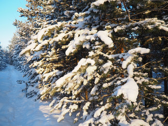 Similar image 21705767