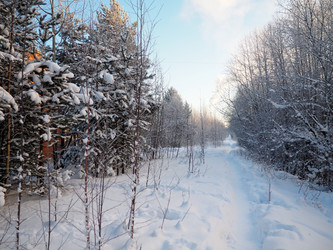 Similar image 21705769