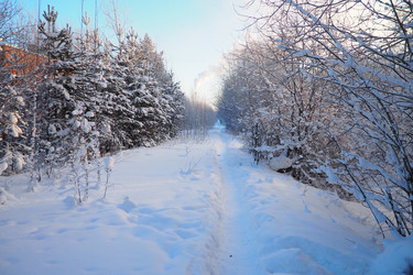 Similar image 21705770