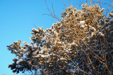 Similar image 21705771