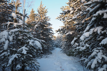 Similar image 21705772