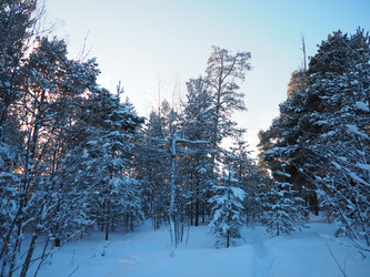 Similar image 21705775