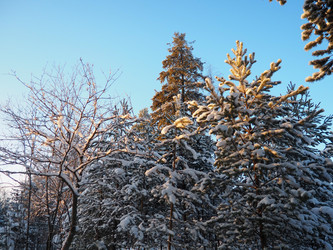 Similar image 21705779